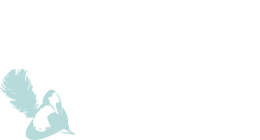 Agence Cancùn